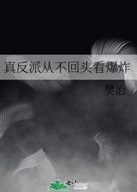 真反派从不回头看爆炸