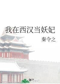 我在西汉当妖妃