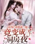 震惊！离婚前一晚竟变成了洞房夜