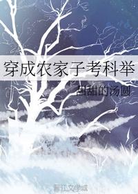 穿成农家子考科举