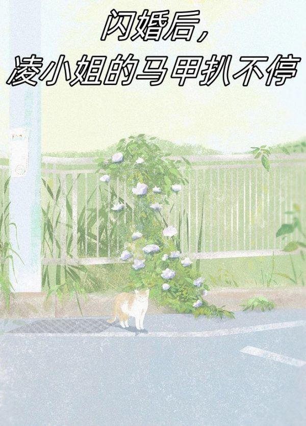 闪婚后，凌小姐的马甲扒不停