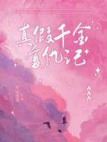 傅砚辞陈沅汐
