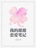 叶子飞沈念念