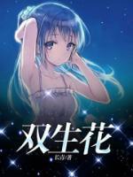 沈离小暖