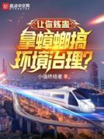 叶天张亮