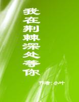 程暖夕慕锦年