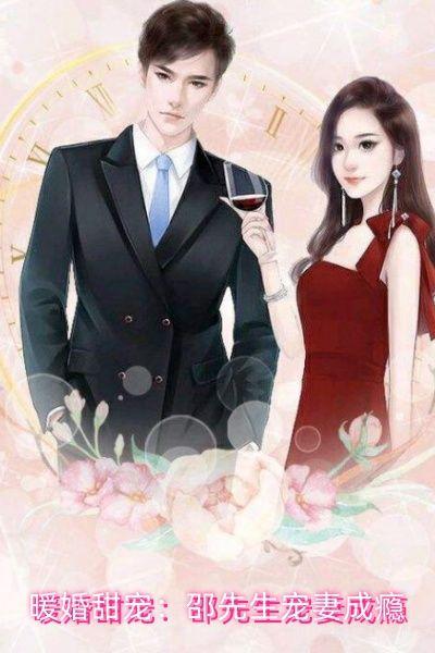 暖婚甜宠：邵先生宠妻成瘾