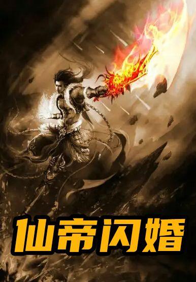 仙帝闪婚