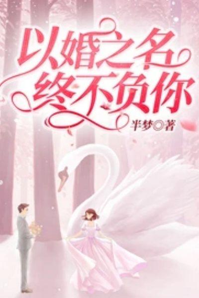 以婚之名，终不负你