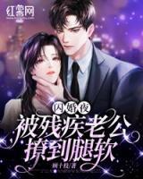 夏雨惜厉丞渊