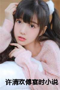 许清欢傅宴时小说