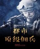 都市顶级佣兵