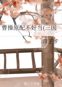 曹操原配不好当(三国)