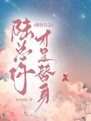 沐音音陆辞深