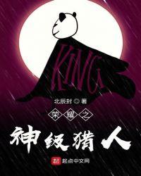 荣耀之神级猎人