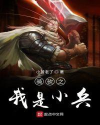 骑砍之我是冒险家