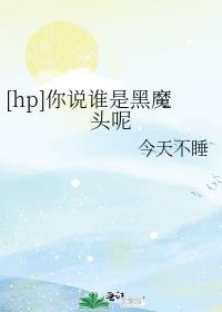 [hp]你说谁是黑魔头呢