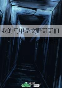 我的马甲是文野哥哥们