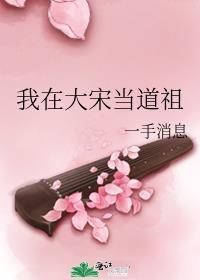 我在大宋当道祖