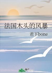 法国木头的风暴